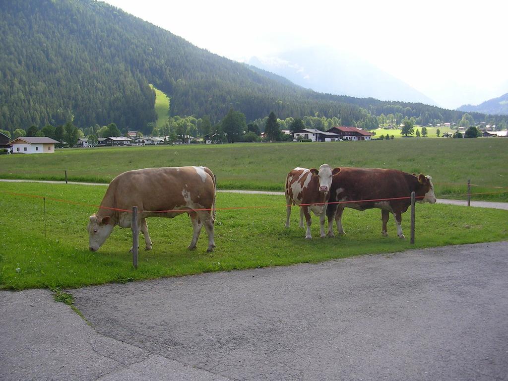 Gaestehaus Bodnerlehen Hotel Schönau am Königssee Cameră foto